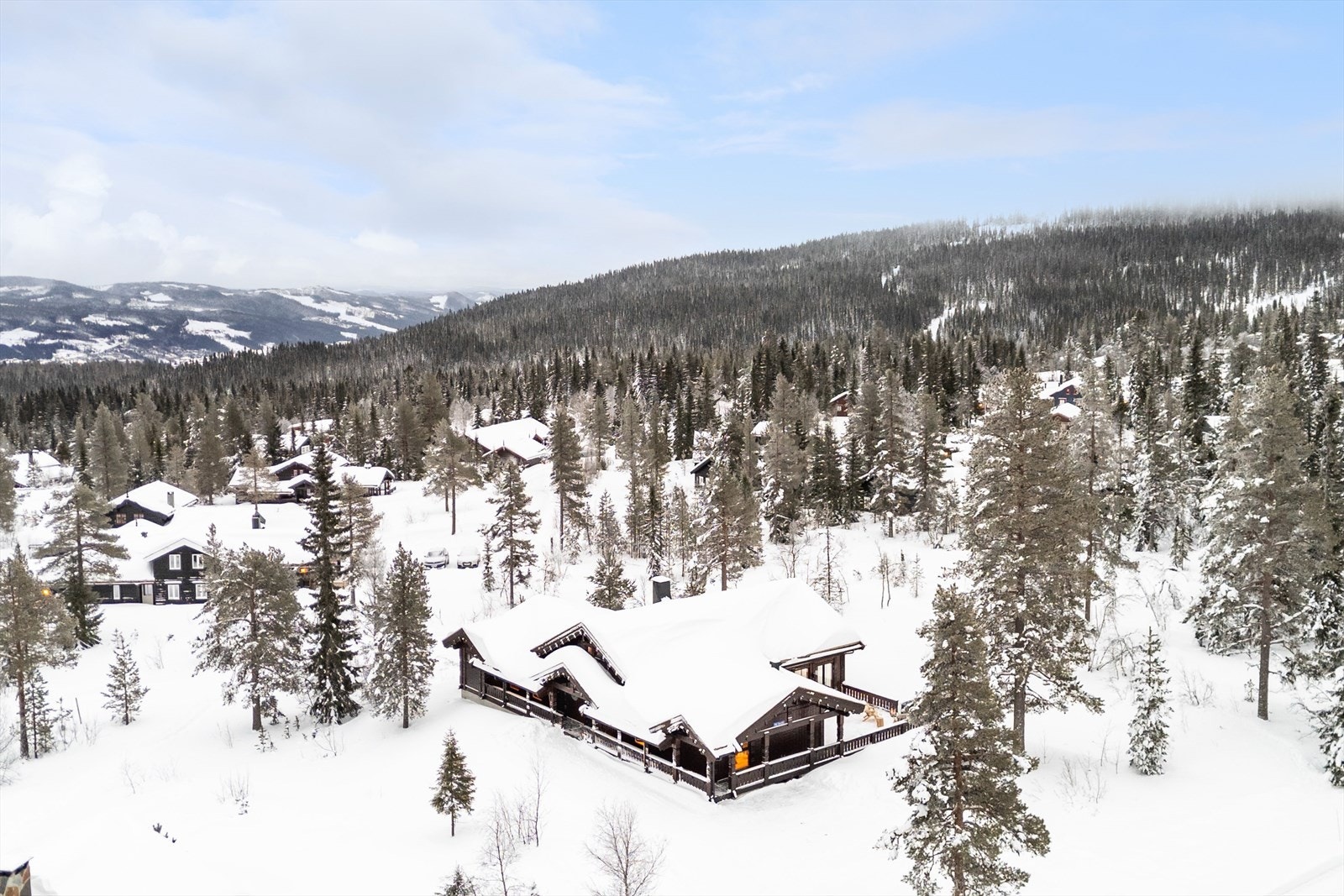 1778-3-2_055.jpg Galleribilde