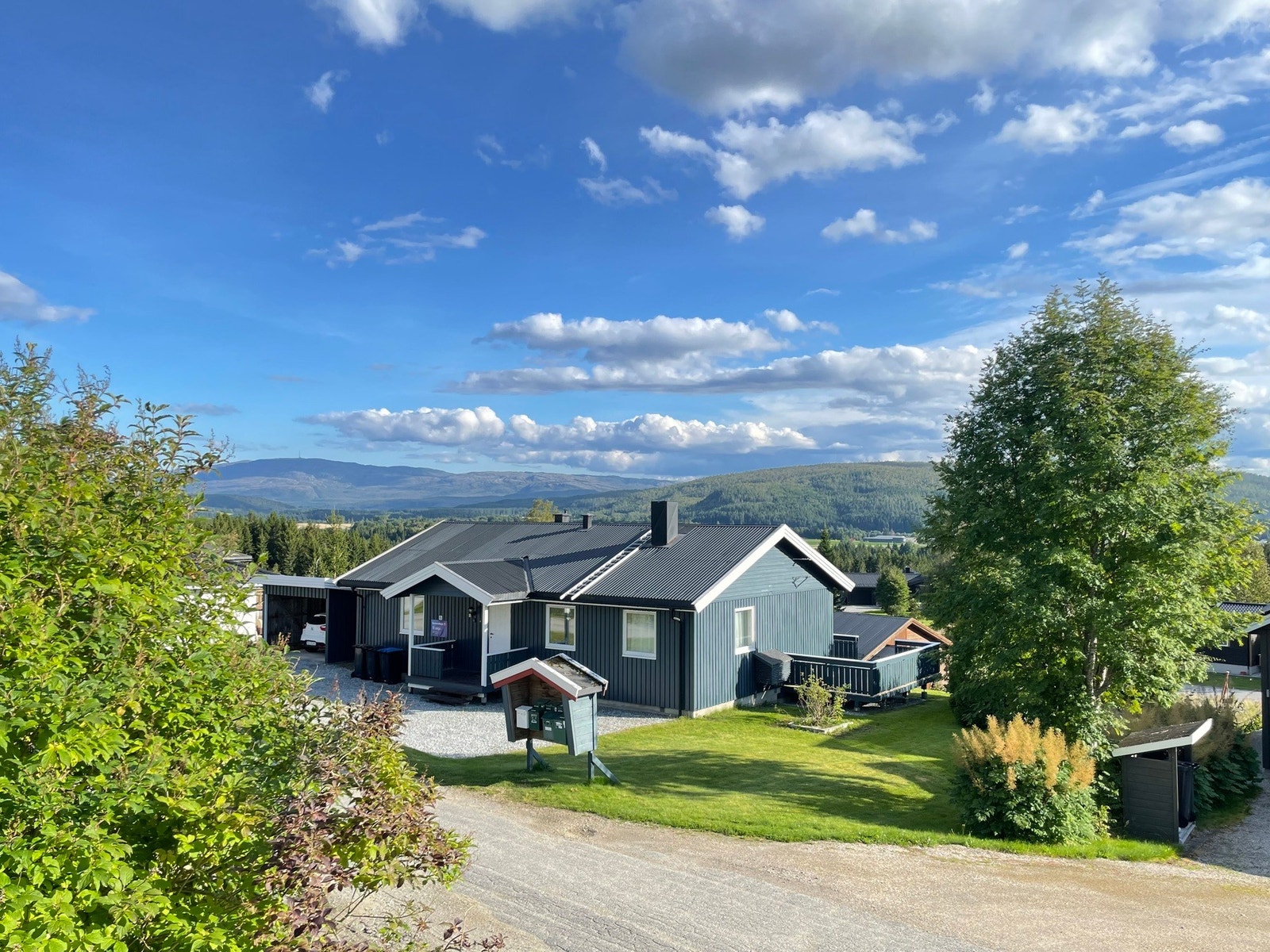 Fasade. Galleribilde