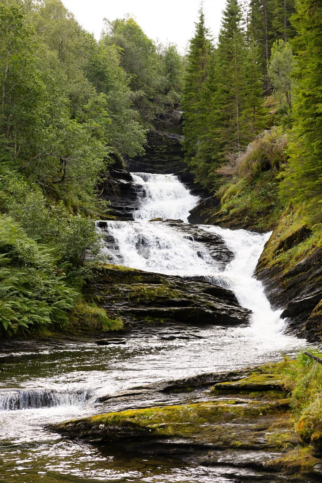 Flott natur like utenfor døren, et eldorado både sommer og vinterstid. Galleribilde