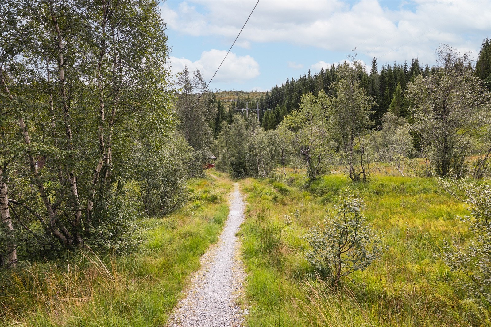 Gangsti til hytten. Galleribilde