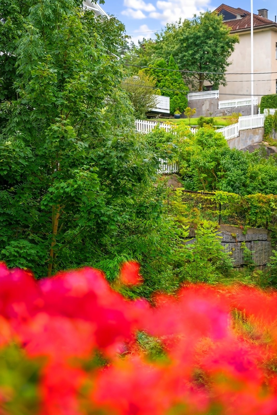 Grønt og frodig, samtidig umiddelbar nærhet til Drøbak sentrum. Galleribilde