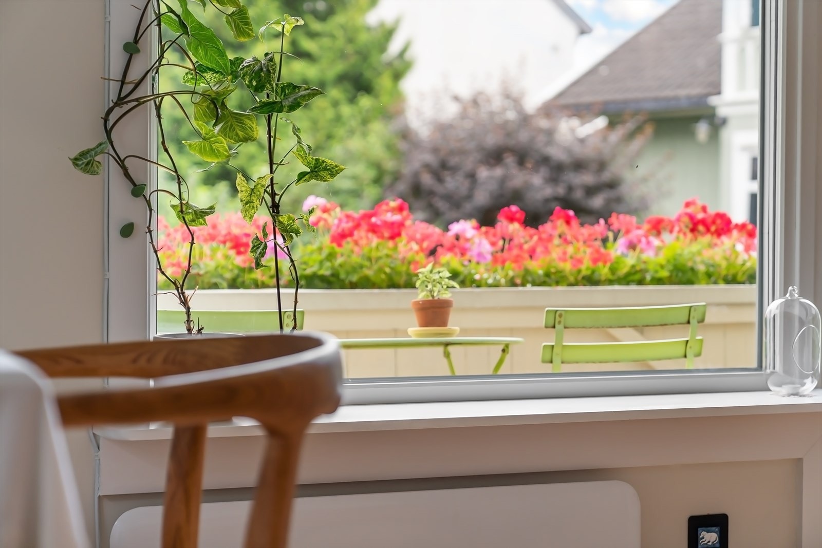 Fra stue ut til solrik veranda. Galleribilde