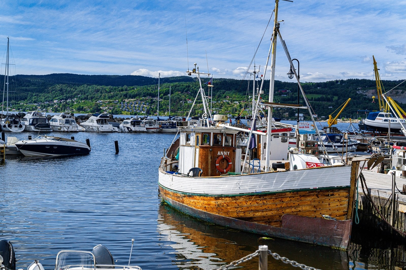 Sommeridyll. Galleribilde