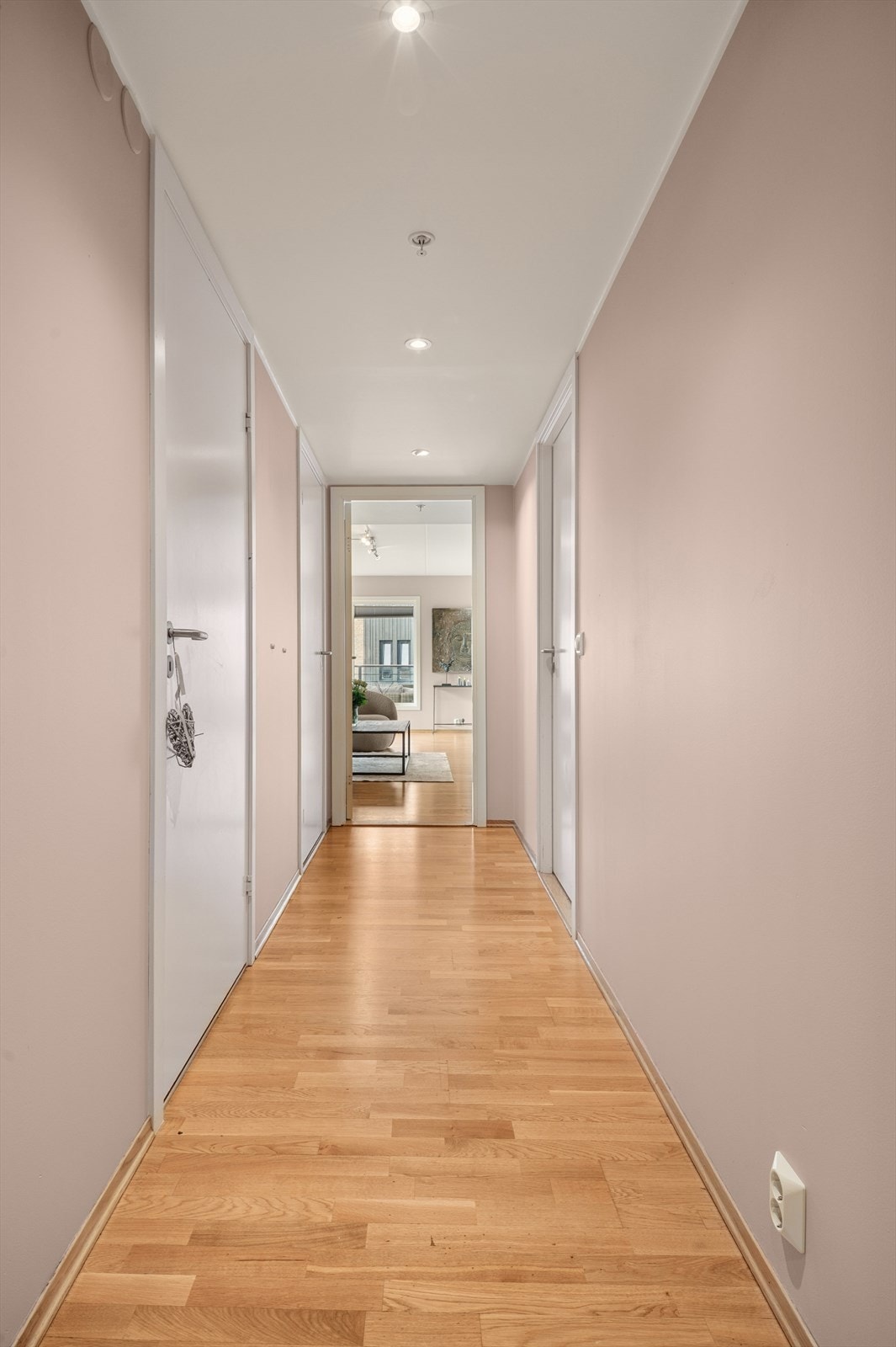 Entré/gang med adkomst til boligens øvrige rom. Galleribilde