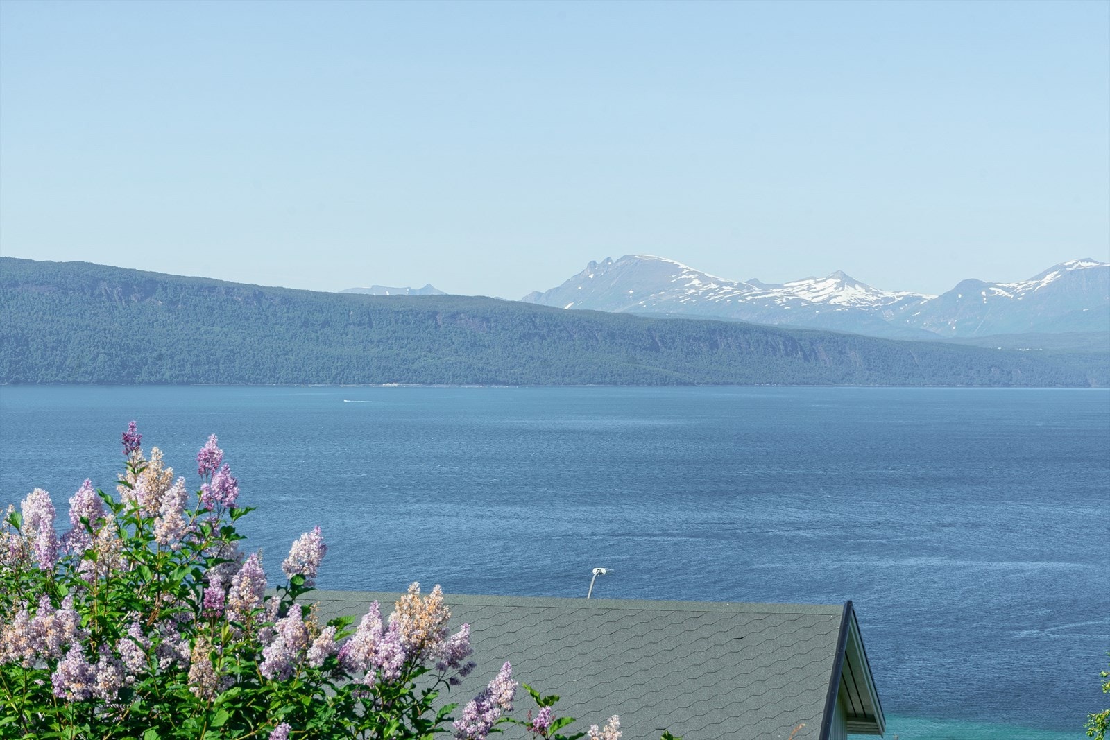 Flott utsikt ut mot Ofotfjorden fra hovedsoverom Galleribilde