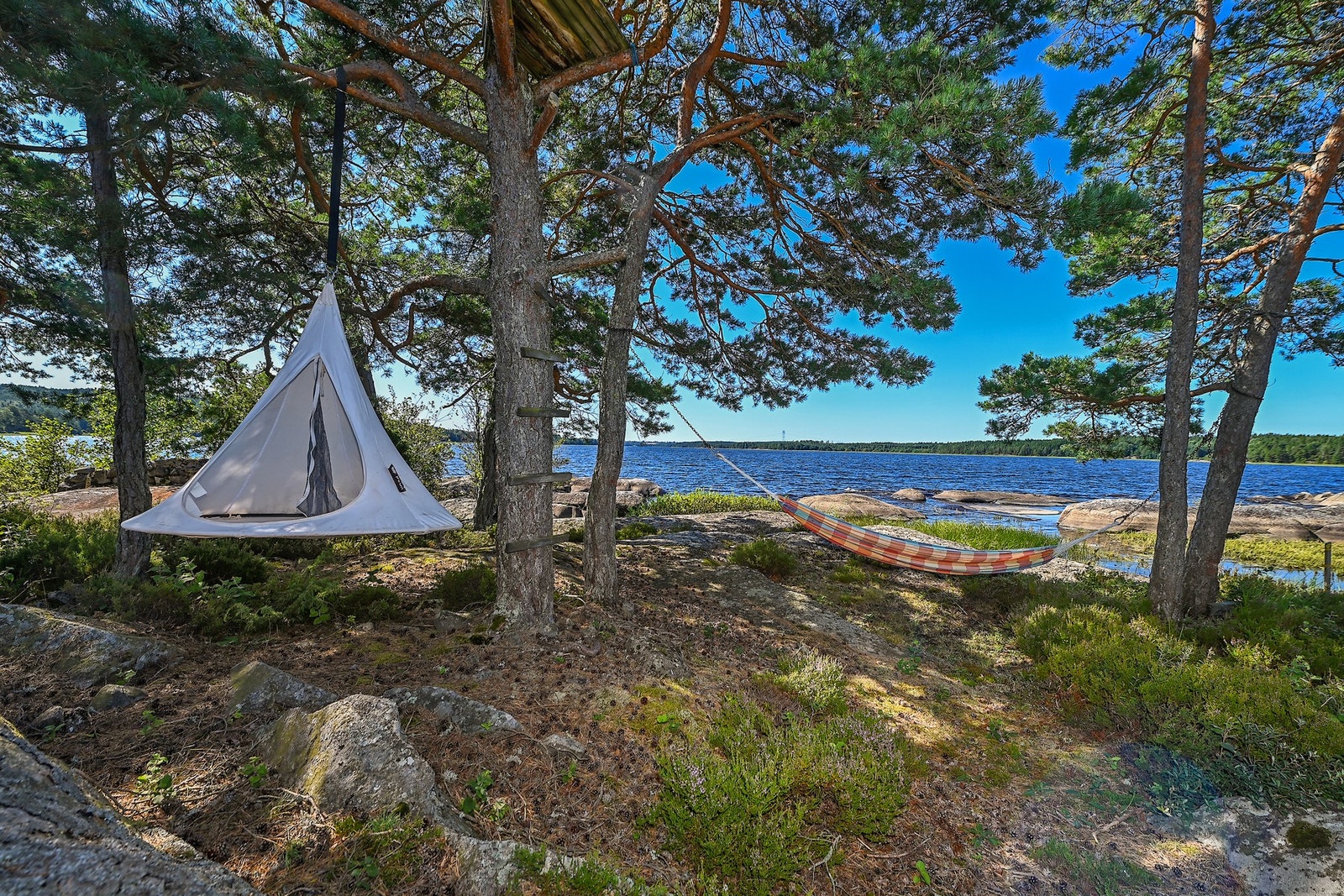 Tomten har både solrike svaberg og skyggefulle skogspartier. Galleribilde