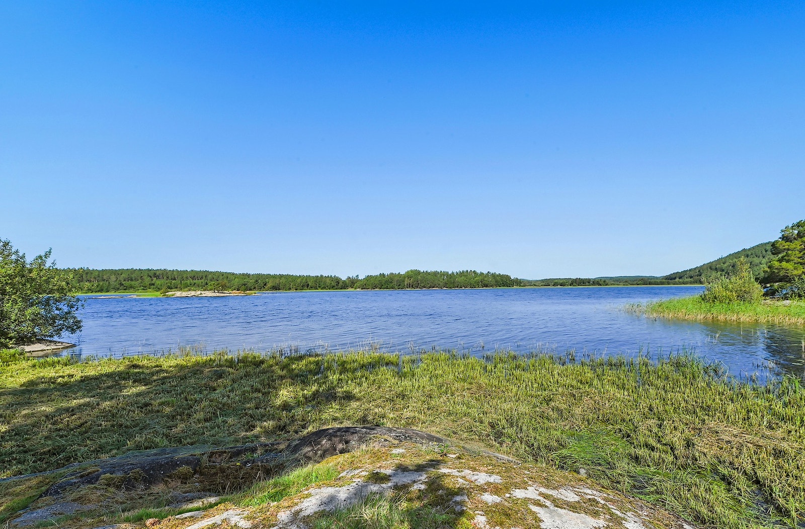 Utsikt over stille vann og urørt natur. Galleribilde