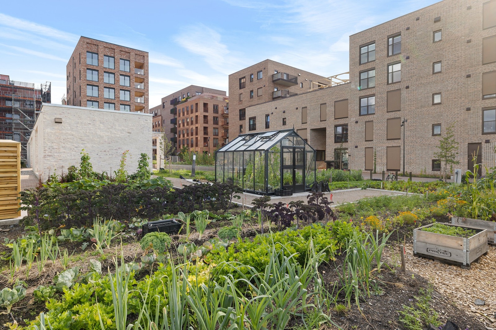 Fellesskapet rundt boligen gir deg det lille ekstra - her finner du gjesteleiligheter, selskapslokale, takterrasser og hage med muligheter for dyrking. Galleribilde