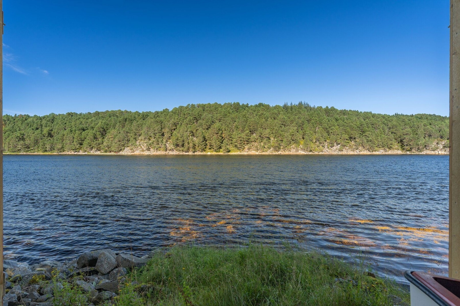 Velkommen til visning! Galleribilde