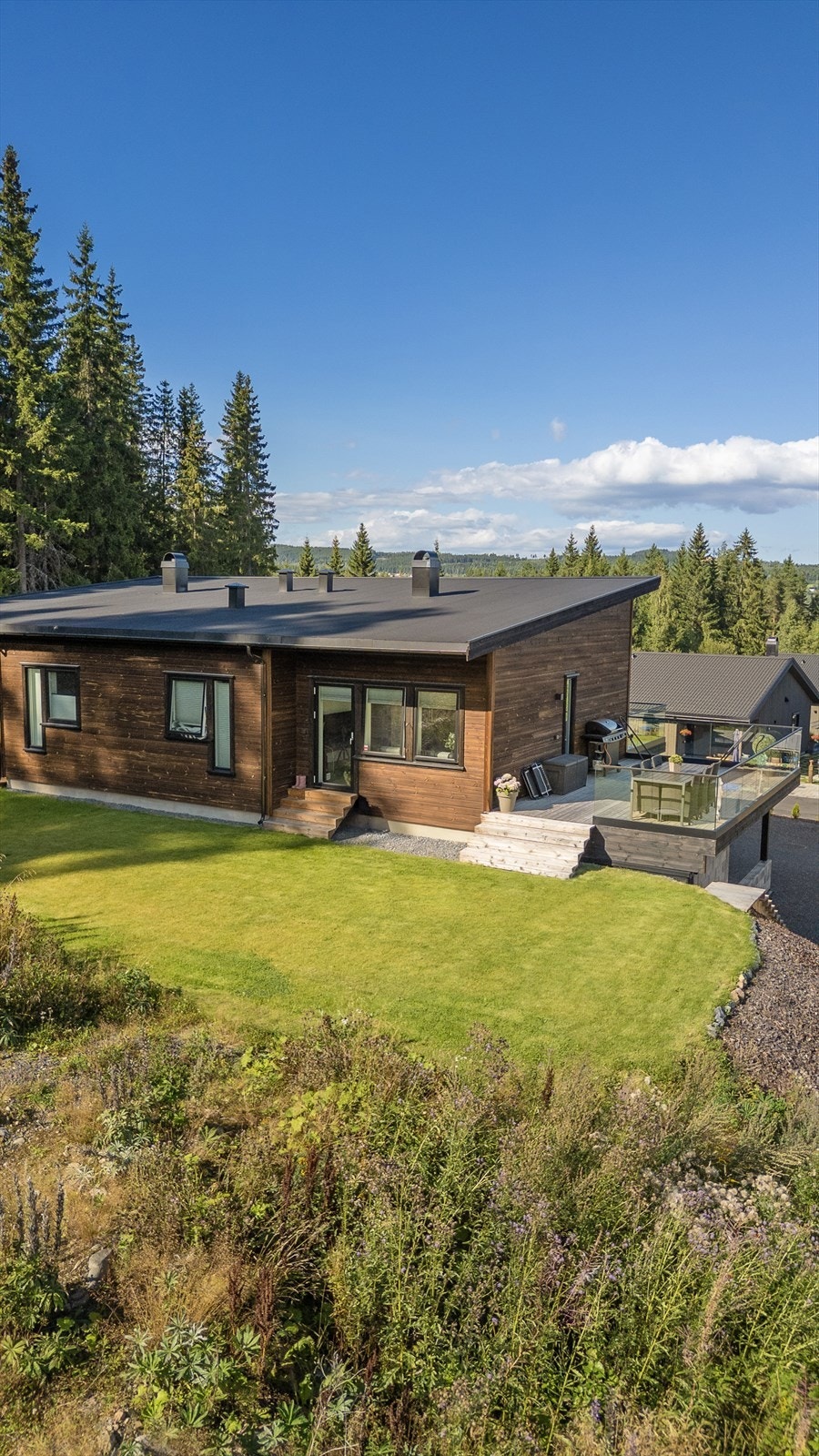 Tomt med plen og beplanting. Galleribilde