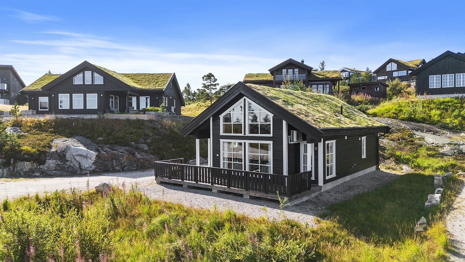 Velkommen til visning! Galleribilde