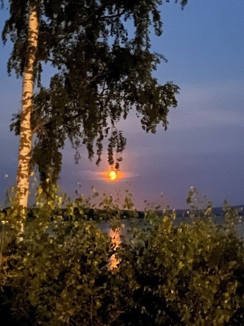 Säljaren egna bild Galleribilde