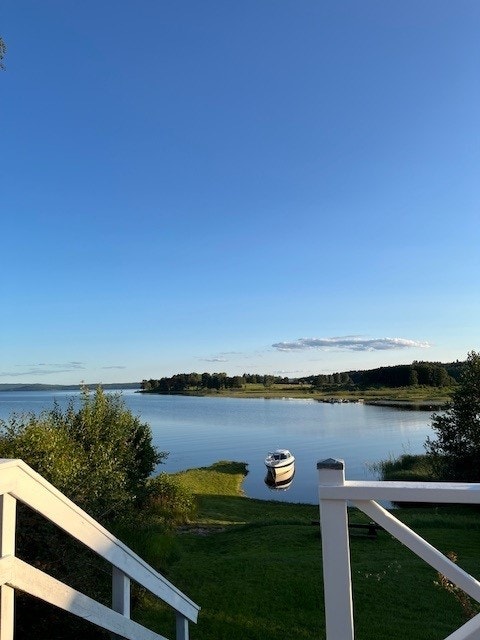 Säljarens egna bild Galleribilde