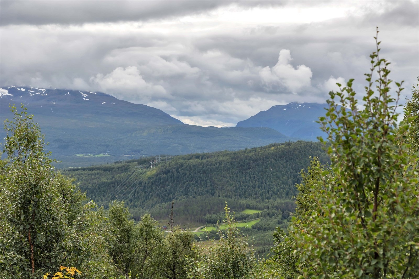 Flott utsikt. Galleribilde