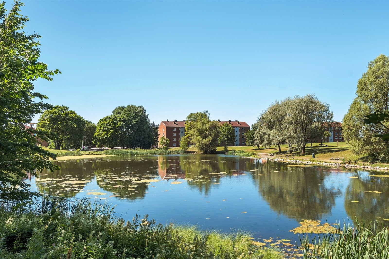 For de som ønsker å ta det med ro finnes det flotte parker i nærheten. Galleribilde