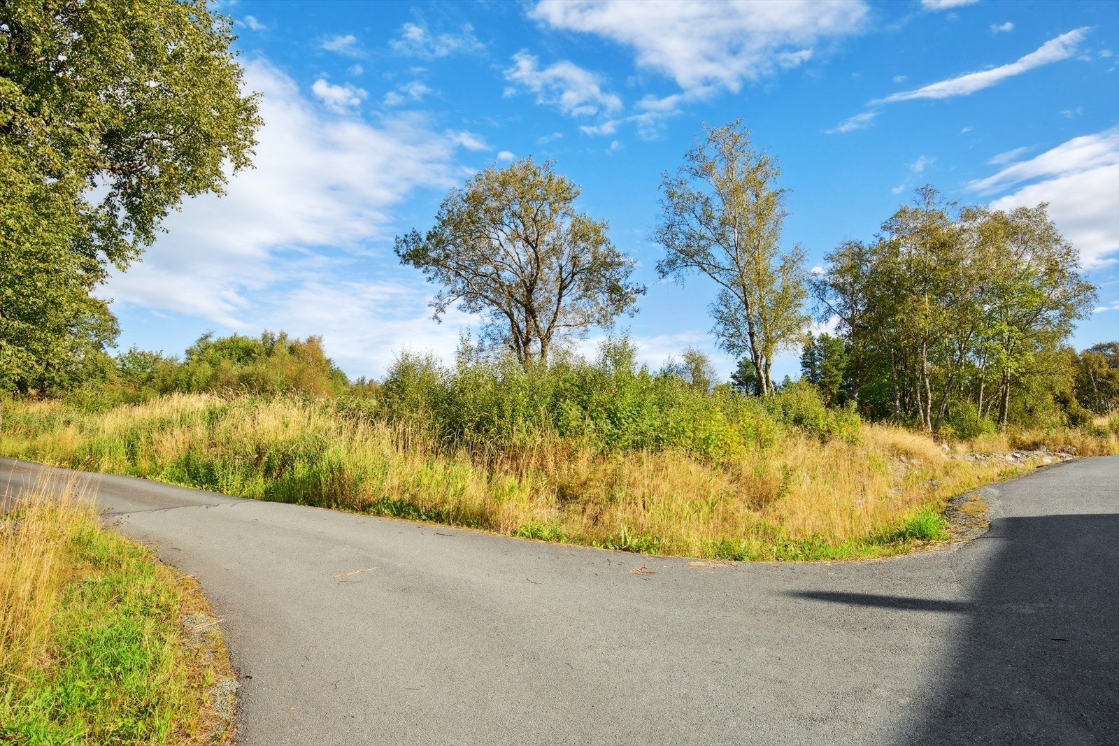 Ubebygd tomt i et attraktivt boligfelt under utvikling i Bjugn Galleribilde
