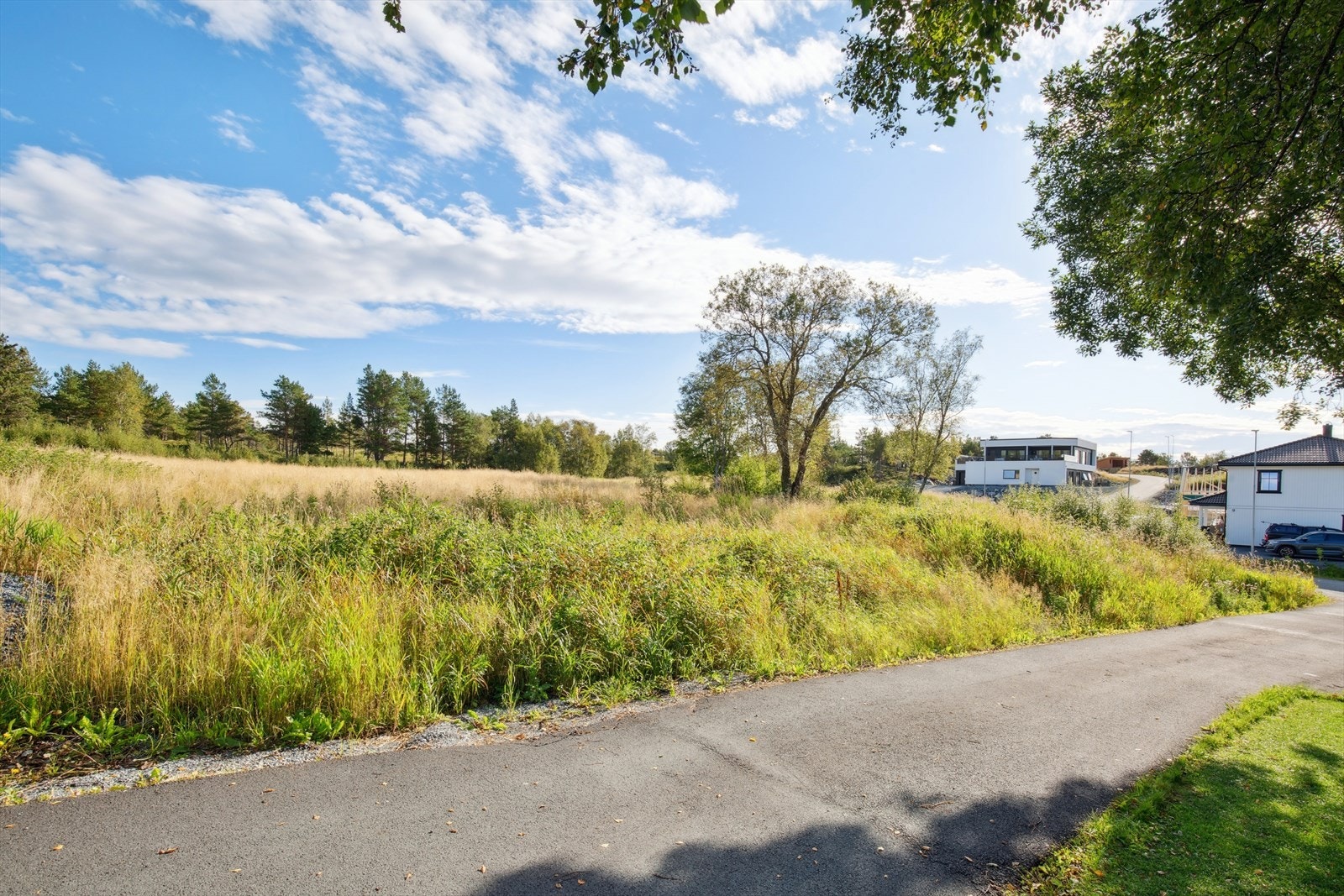Kommunal vei til eiendommen. Galleribilde