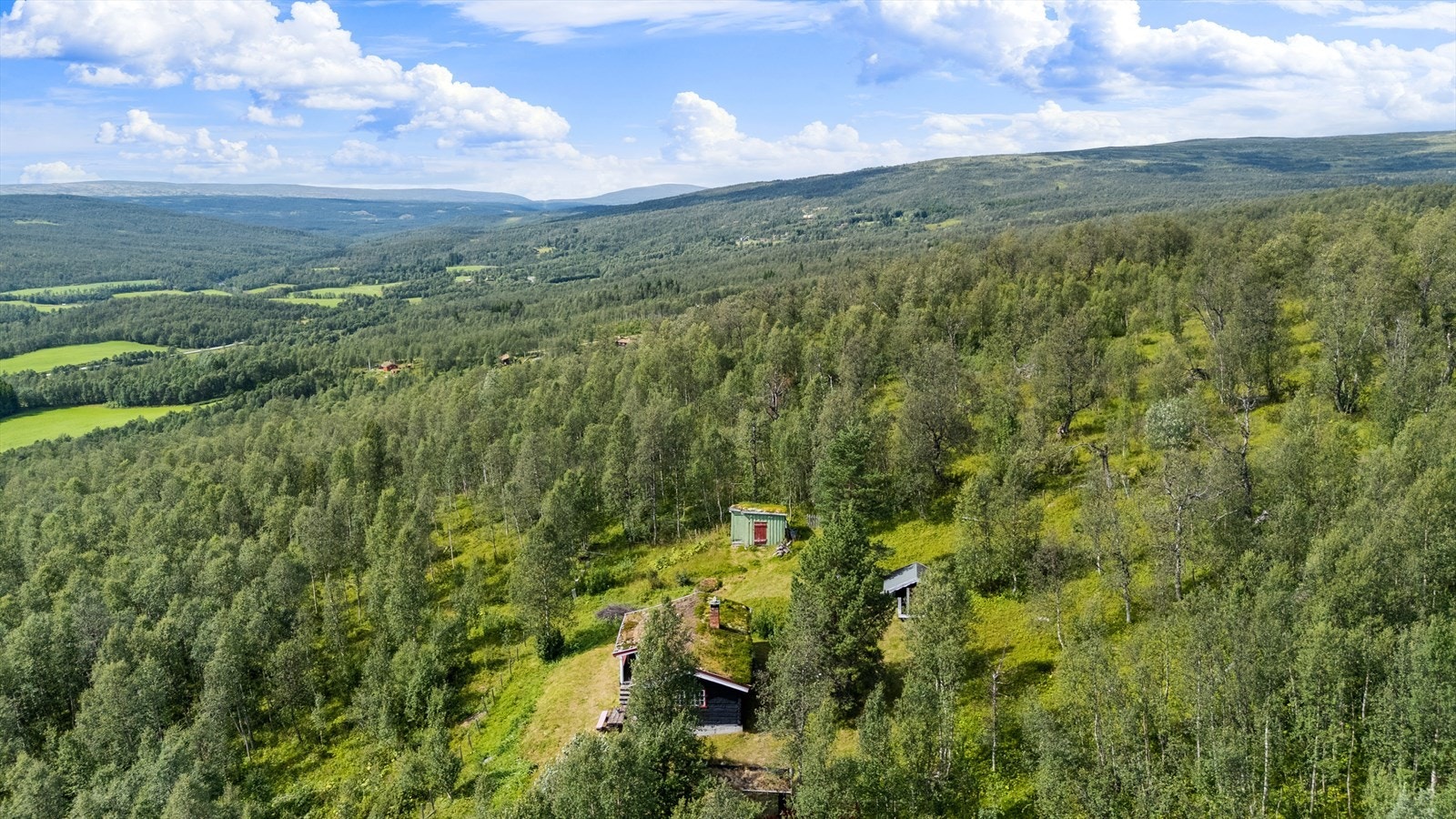 Dalsbygda er innfallsport til de frodige seterdalene og fjellområda i Forollhogna. Galleribilde