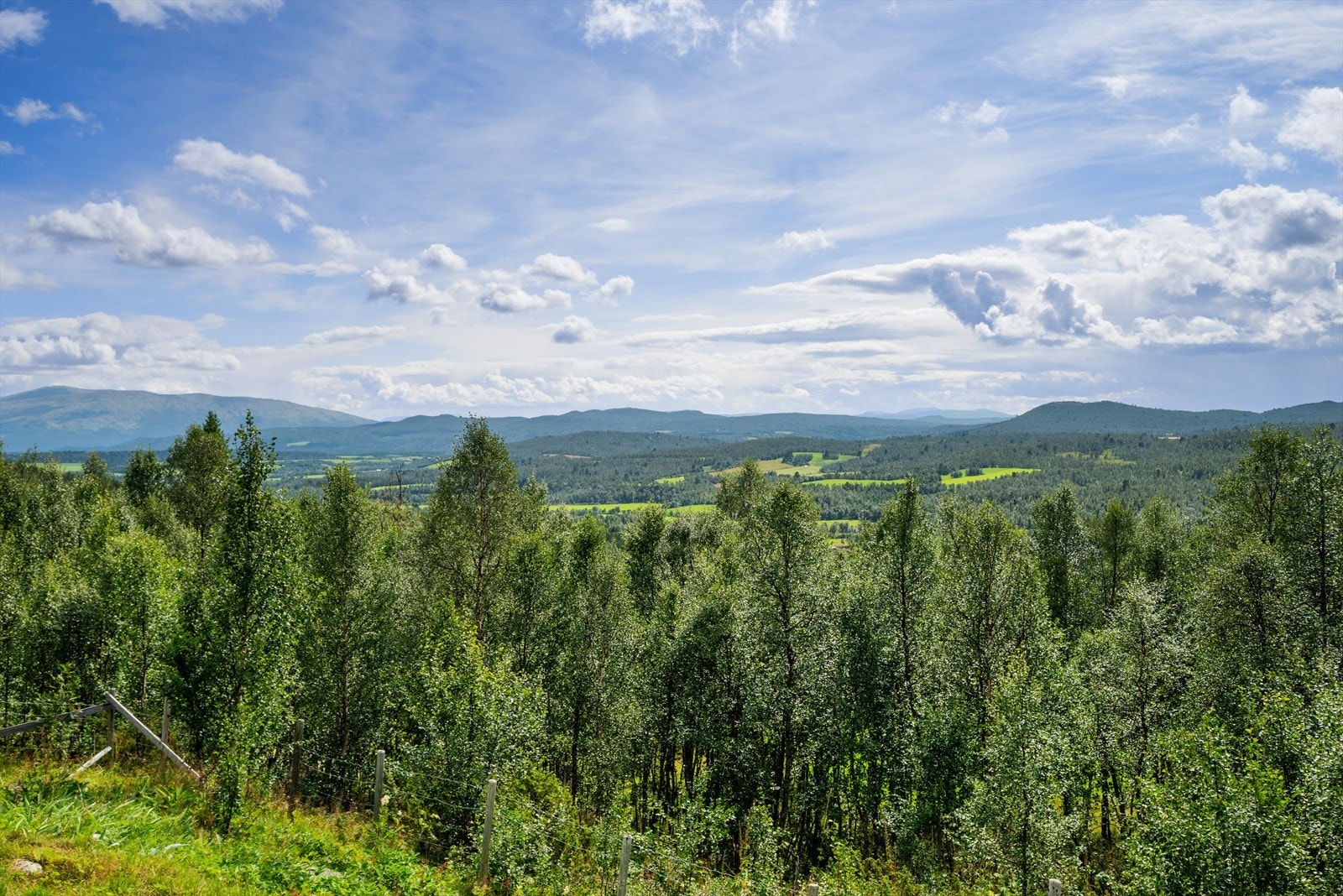 Utsikt utover dalen. Galleribilde