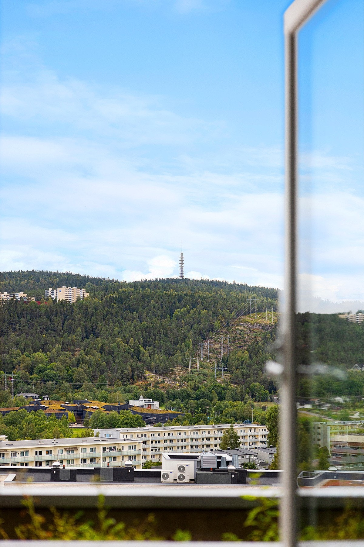 Detaljbilde. Galleribilde