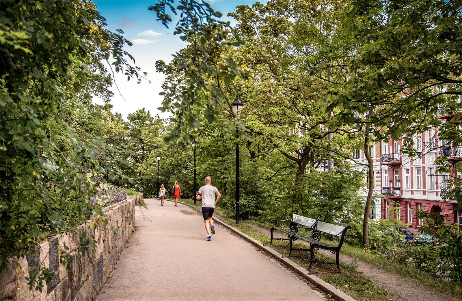 Parken på St.Hanshaugen Galleribilde