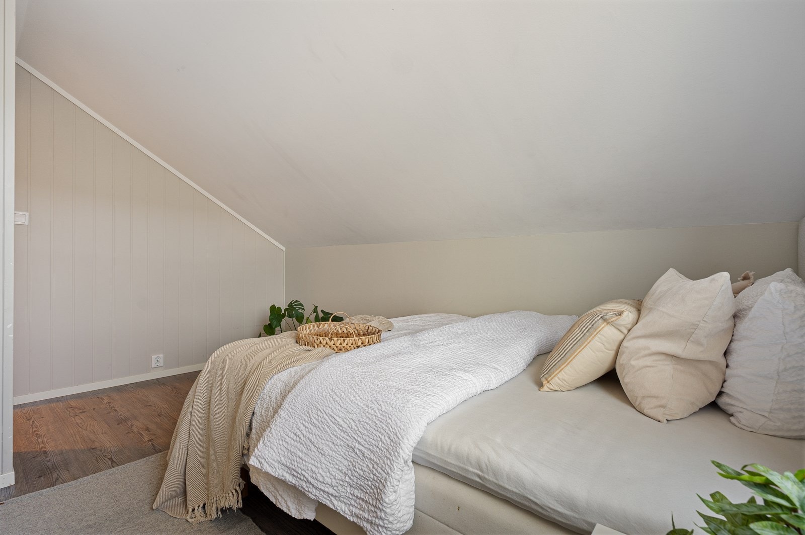 - God plass til seng i ønsket størrelse samt øvrig møblement - Galleribilde