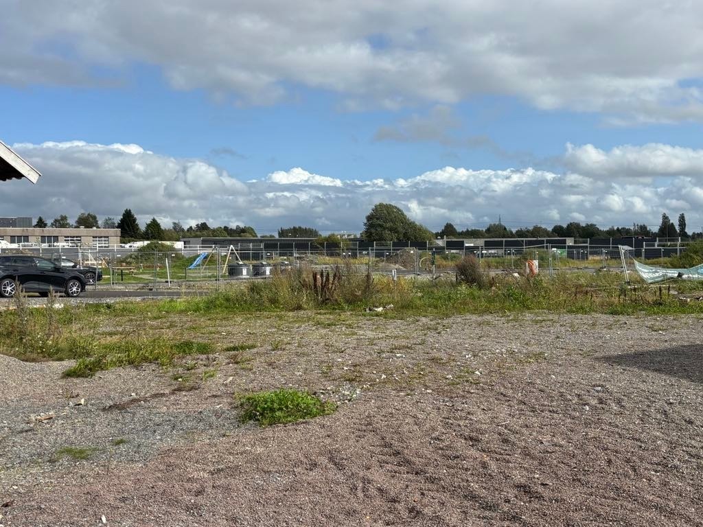 Foto fra tomten i retning friområdet mot nord-øst Galleribilde