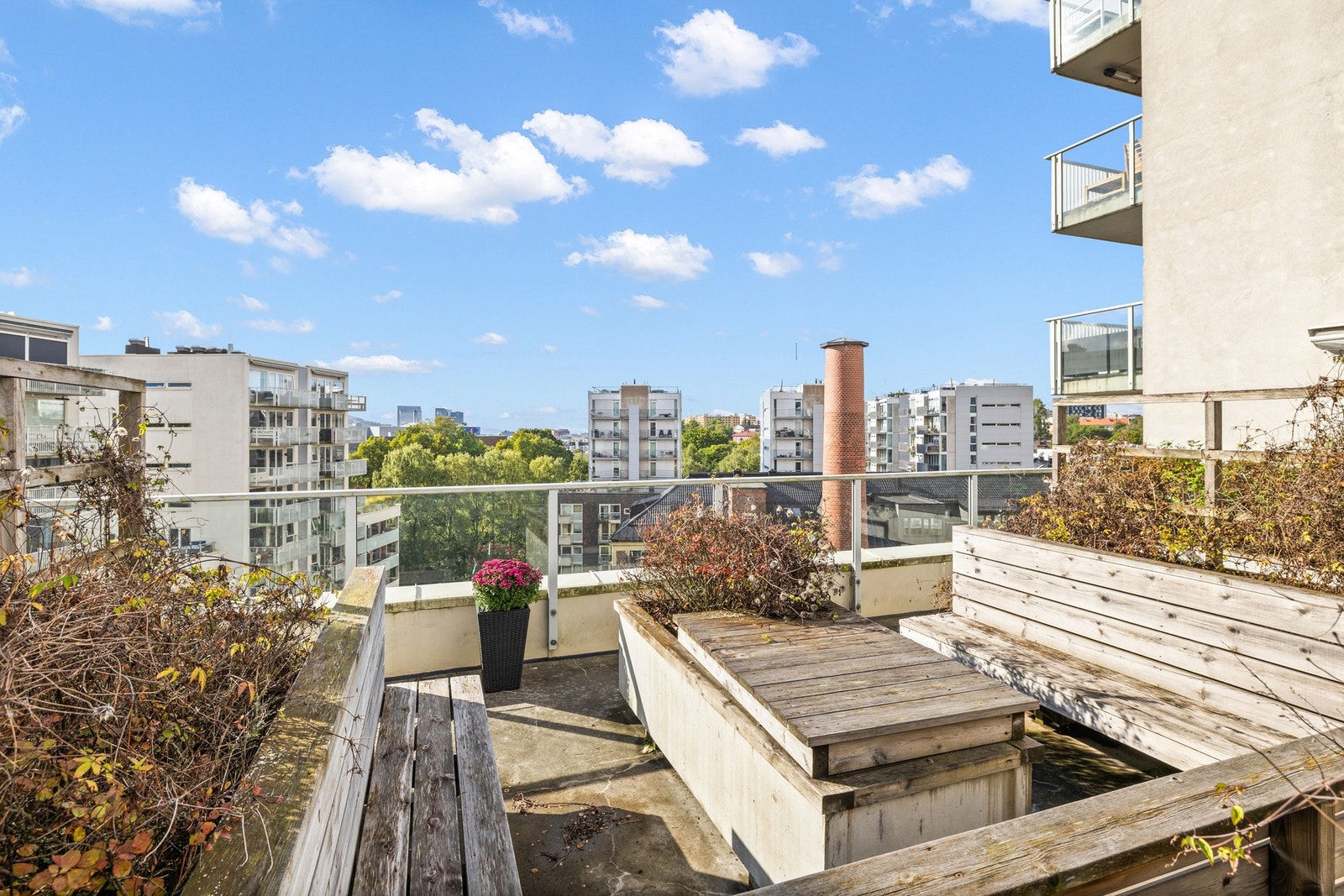 Felles takterrasse med nydelige utsiktsforhold. Galleribilde