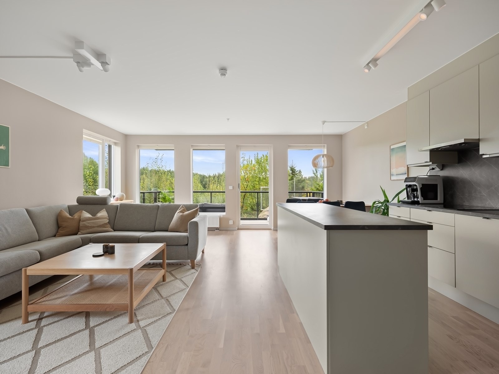 Helt usjenert med skogen som et bilde rett utenfor. Galleribilde