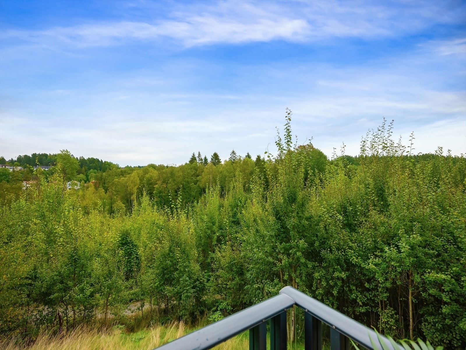 Fantastisk natur og utsikt Galleribilde