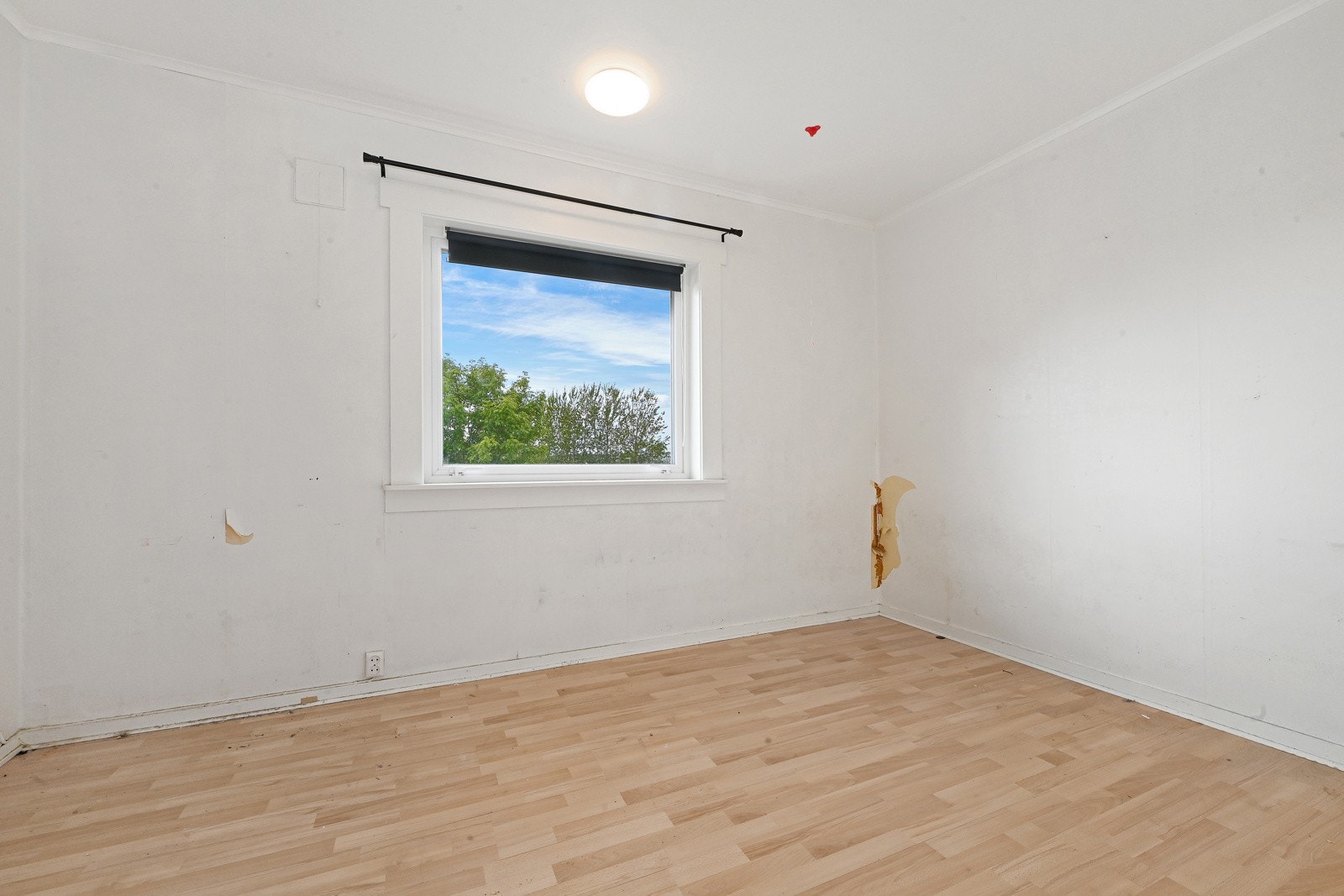 Begge har store vinduer og godt med dagslys. Galleribilde