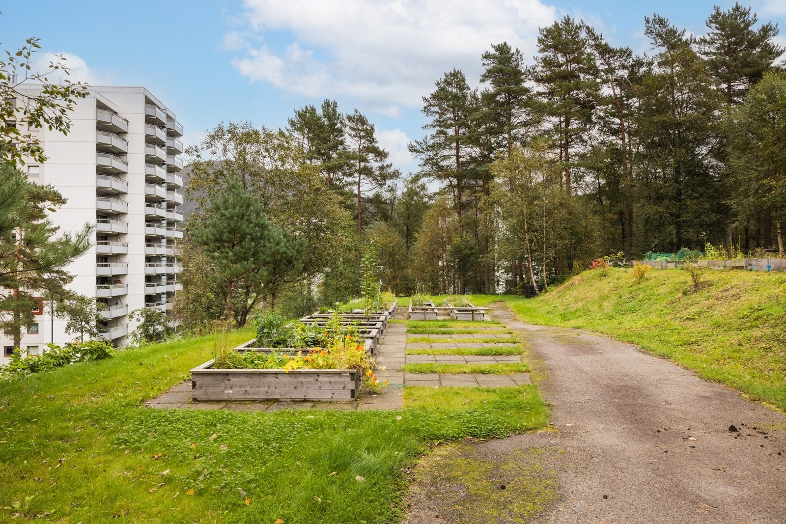 Borettslagets fellestomt er pent opparbeidet Galleribilde