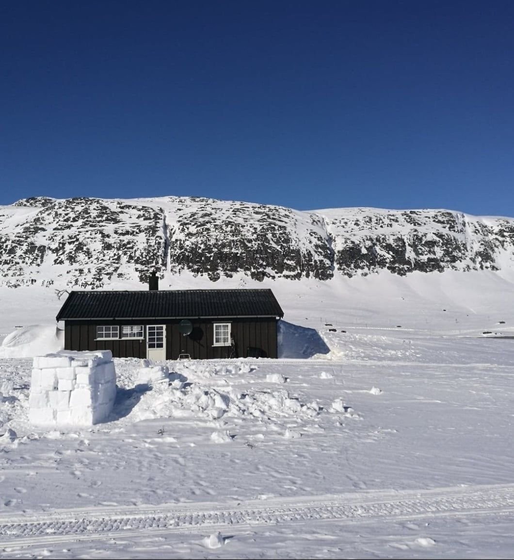 Sørside av hytten med vinterstemning Galleribilde