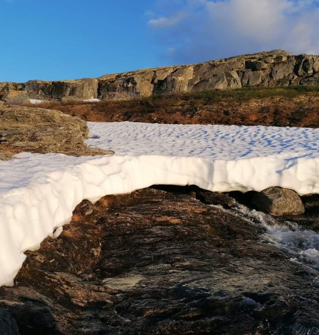Våren kommer i en bekk like ved Galleribilde