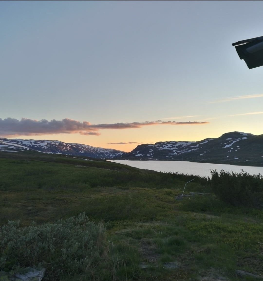 Solnedgang. Galleribilde