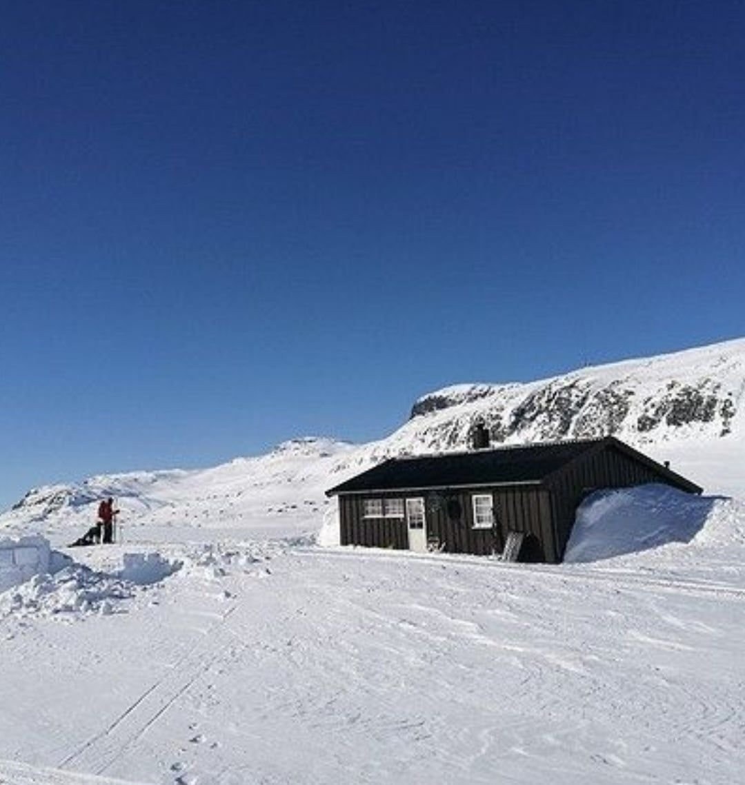 Sør- og østsiden av hytta Galleribilde