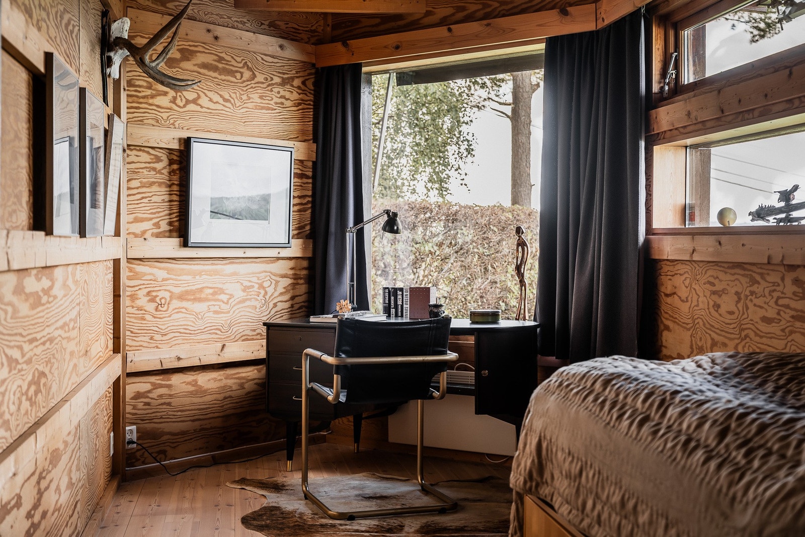 Furugulv. Galleribilde