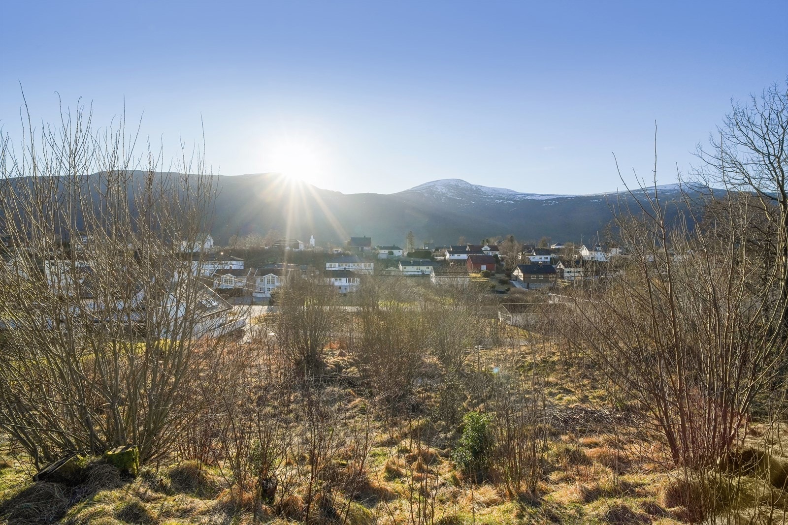 Bilde tatt fra tomten Galleribilde