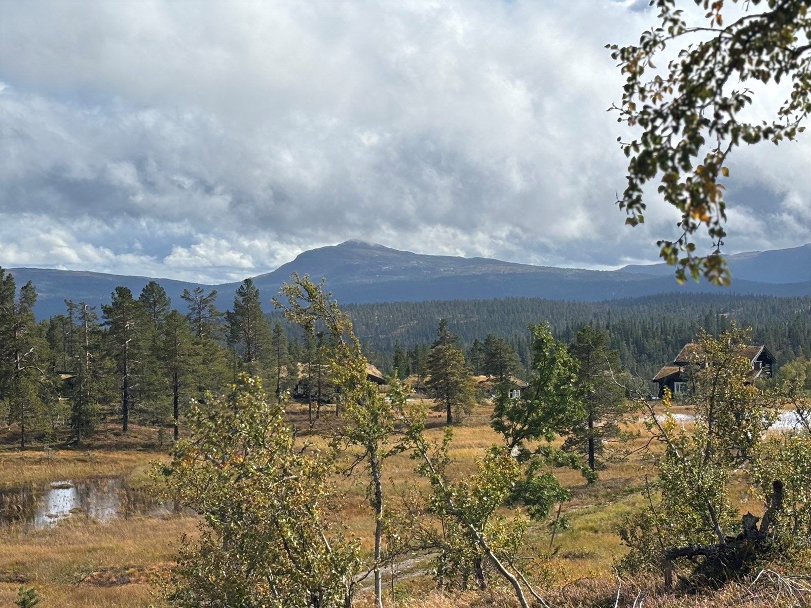 Privat bilde Galleribilde