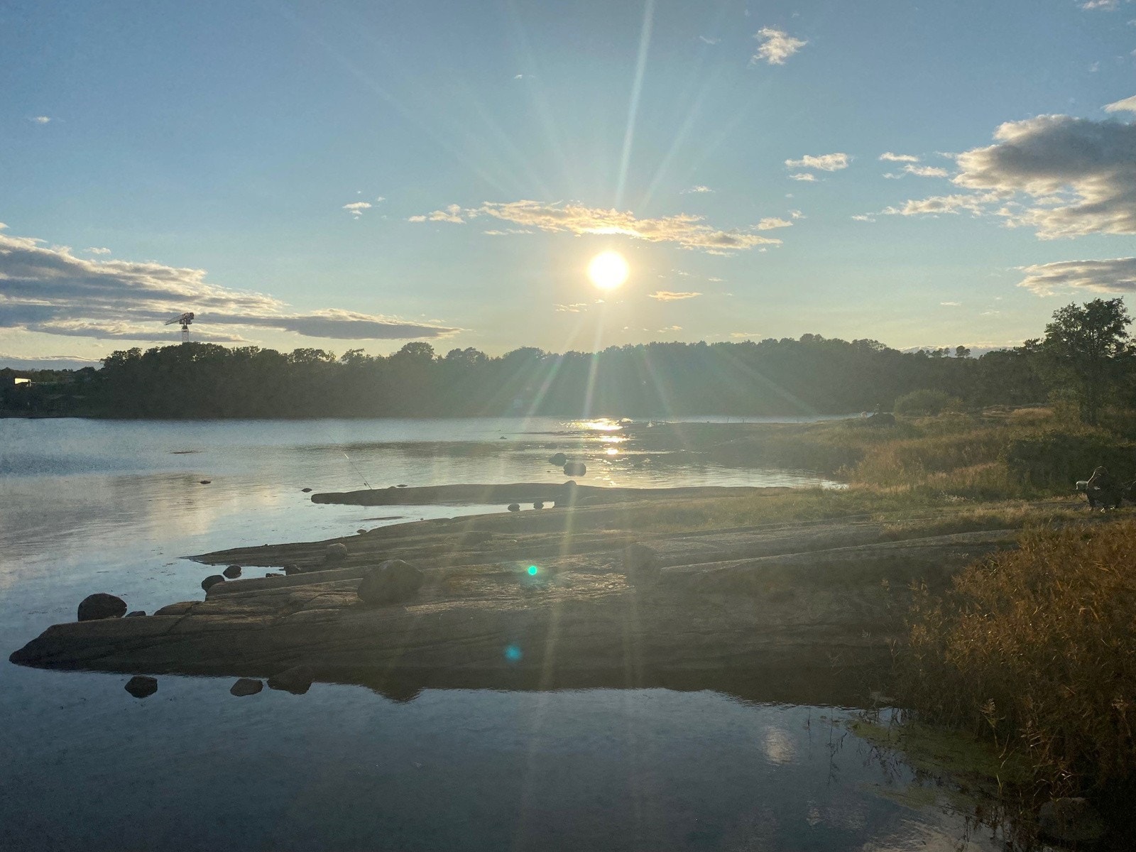 Bare å glede seg til sommeren Galleribilde