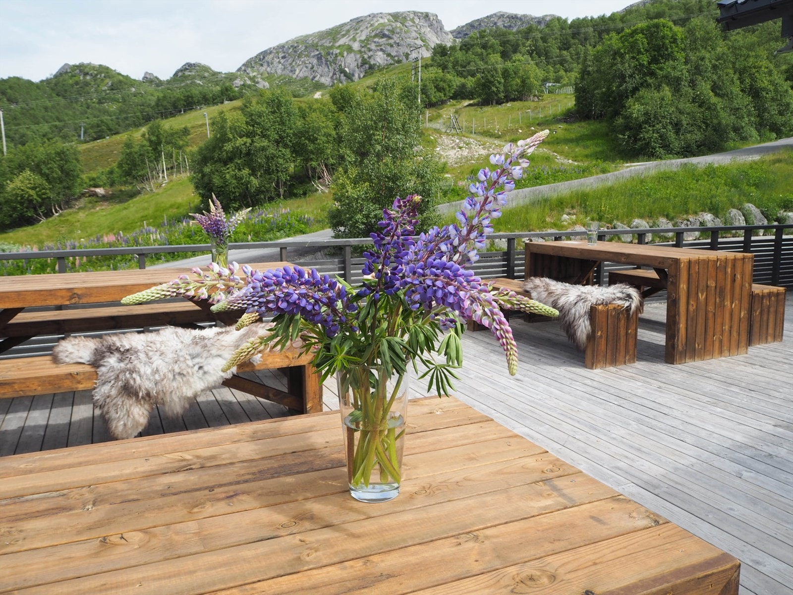 Flotte omgivelser både sommer og vinter for både skientusiaster og turgåere Galleribilde