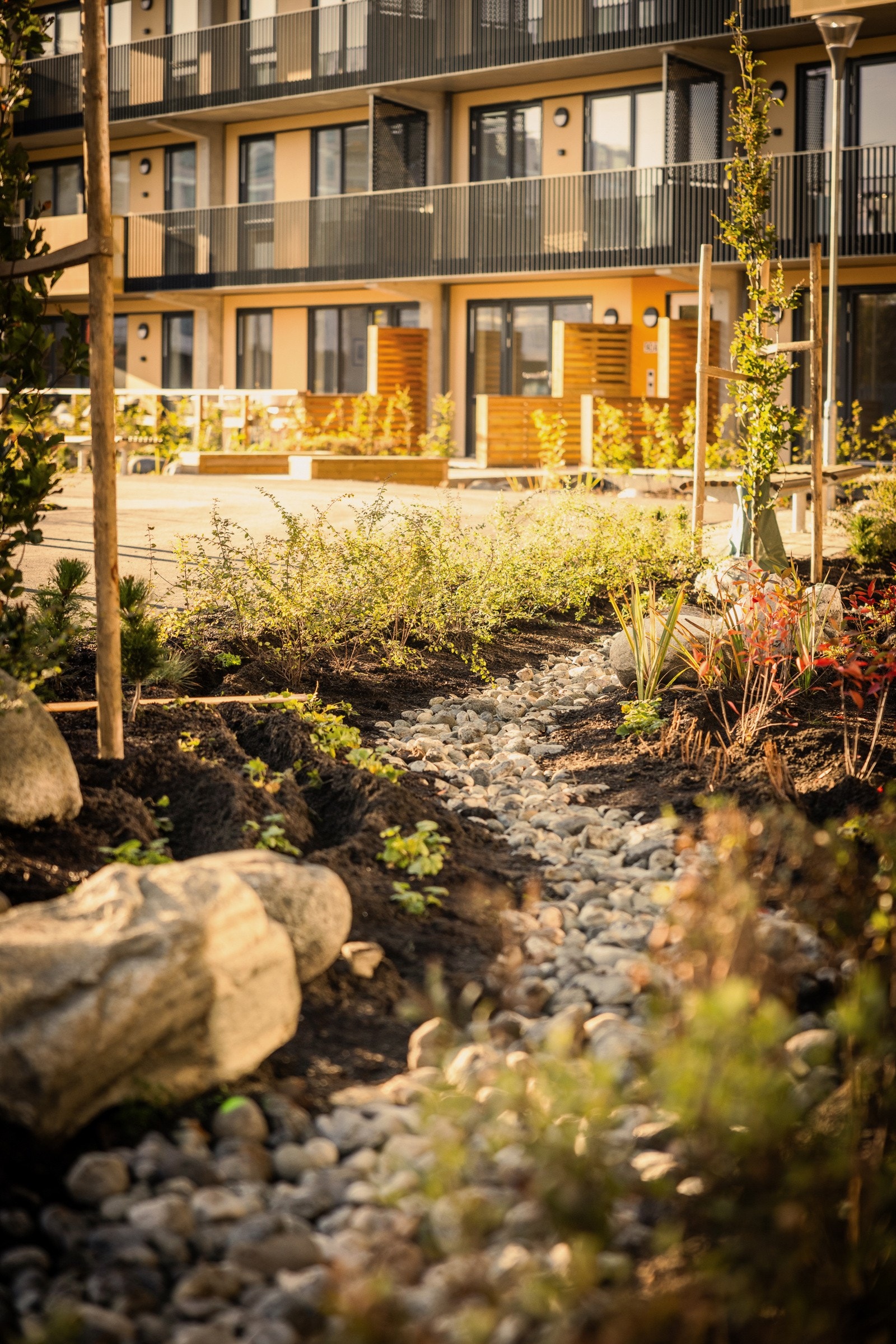 Borettslaget har store fellesareler som er hyggelig beplantet. Galleribilde