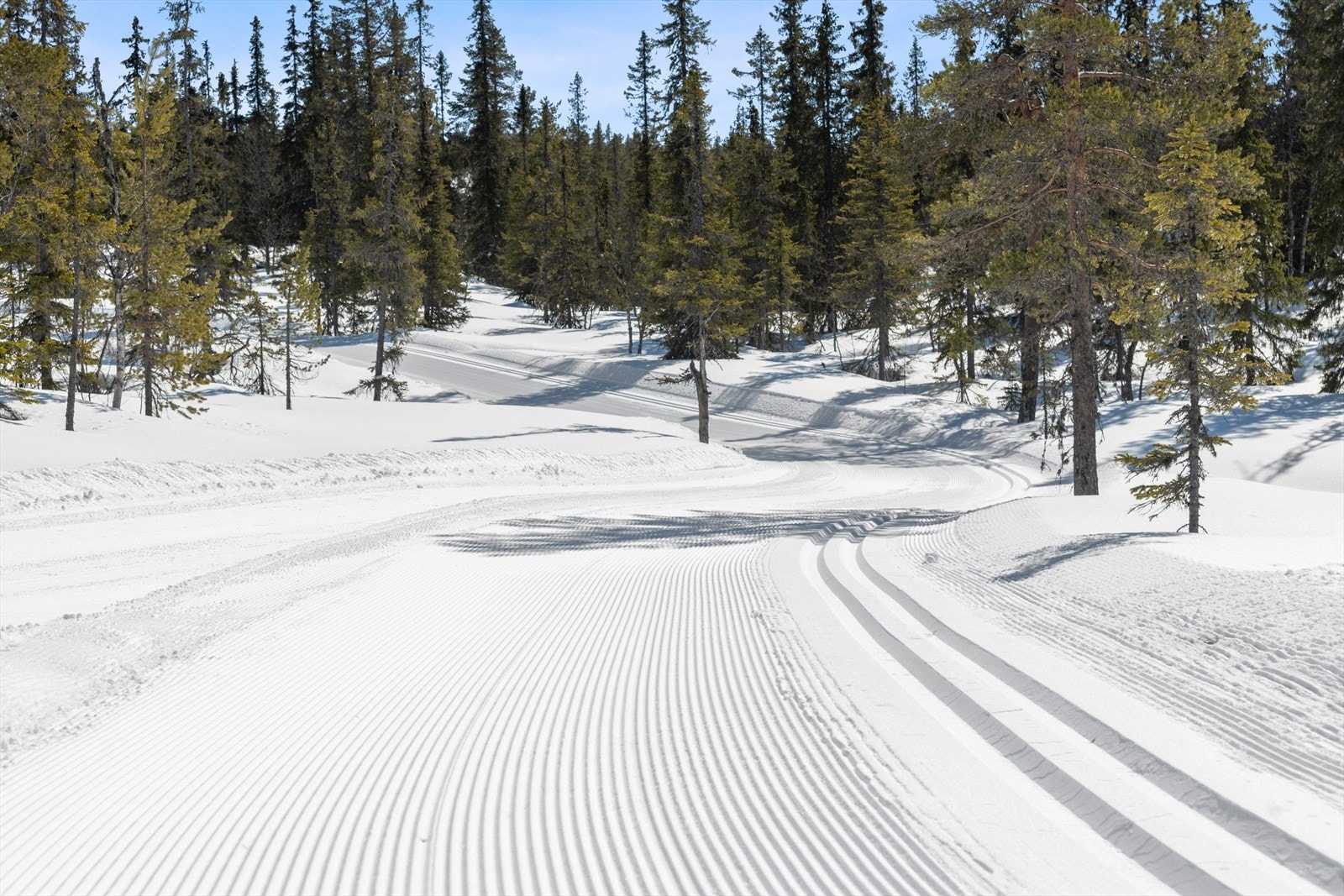 Skiløyper i område - et fantastisk løypenett Galleribilde
