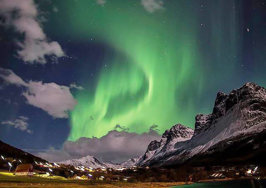 Spilderhesten og Spildra Galleribilde