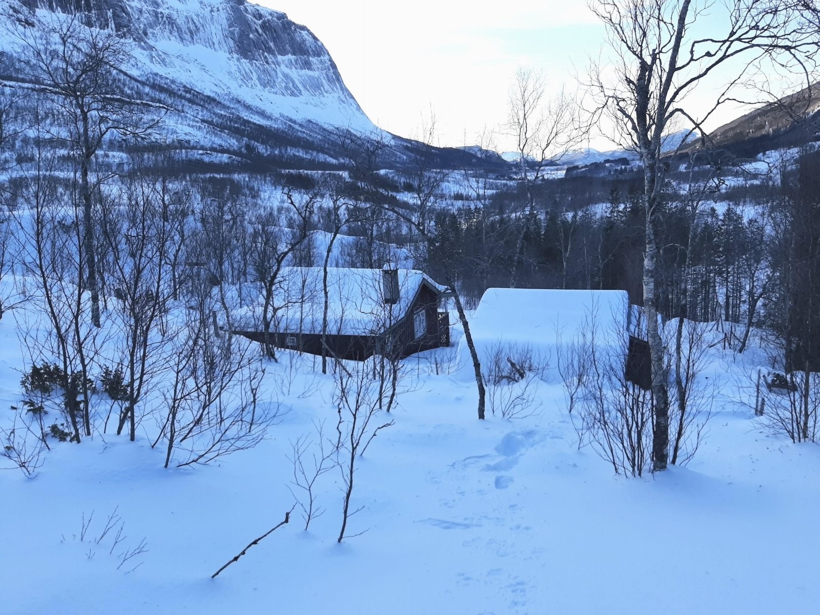 Hytte Galleribilde