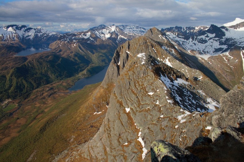 Spilderhesten Galleribilde