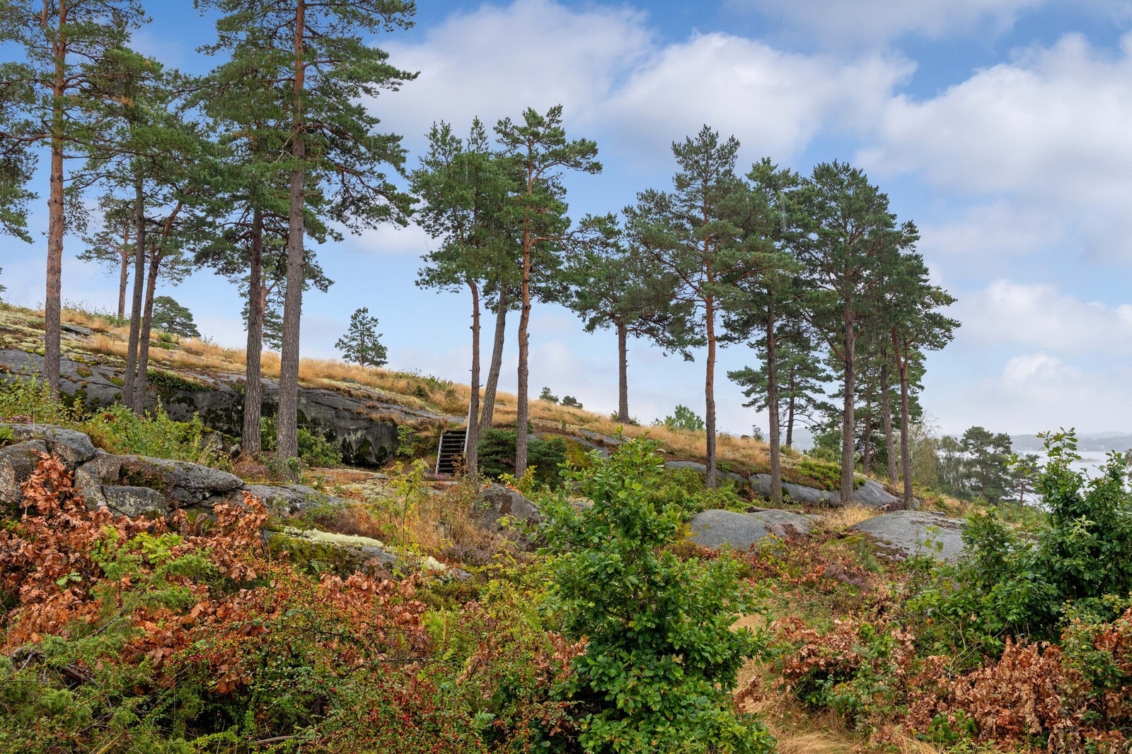 Hytta ligger høyt og fritt med flott utsyn over det vakre landskapet. Galleribilde