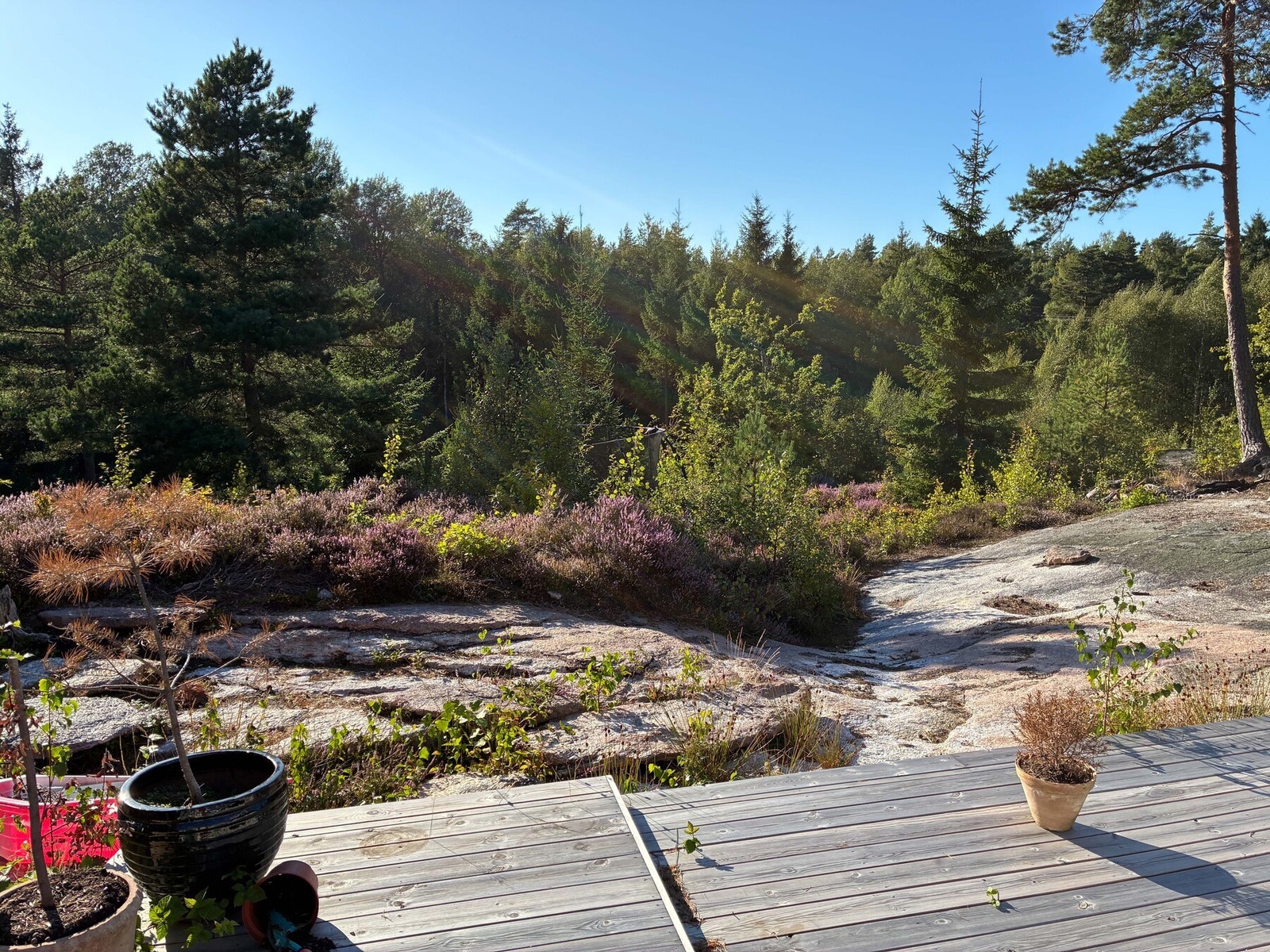 Solen lyser opp eiendommen fra tidlig morgen til sent på kveld - helt til rundt klokken 22. Galleribilde