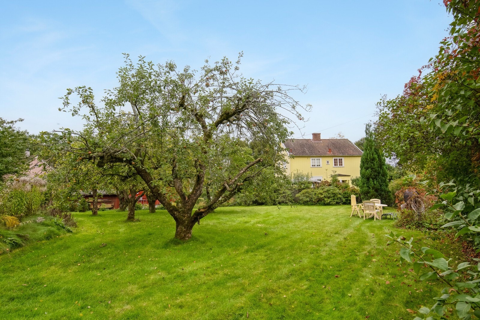 Det er mulig å få tilgang til en del av hagen, om ønskelig. Ta kontakt om visning. Galleribilde