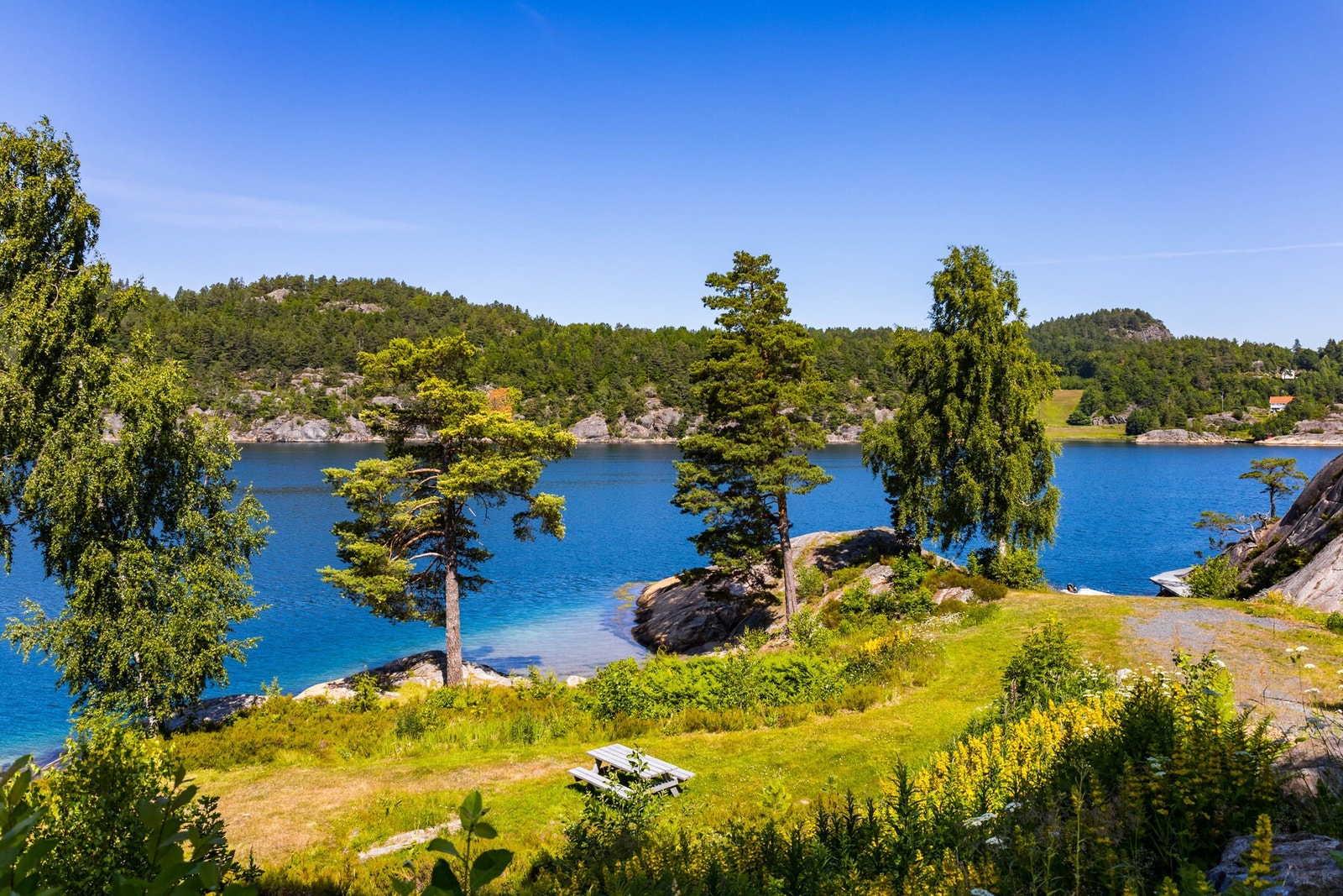 Tomten byr også på en fin utsikt. Galleribilde
